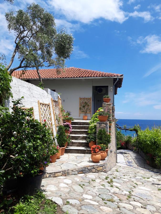 Ammos Papanero Apartment Agios Ioannis  Exterior photo
